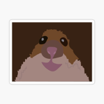 Hamster Paridise