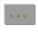 special assault unit (S A U)