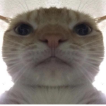 Crcscfr