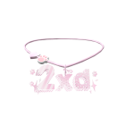2xd Custom Necklace