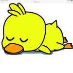 The Duck Corp.