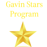 Gavin Stars Program