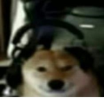 DogeBreadOP pay