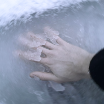 The Lost Arctic