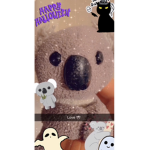 Koala and krew kingdom clothes shop
