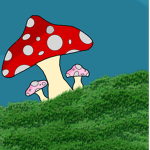 Mushrooms and friends