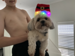 Frankie has been on a mission