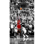 Bulls fan group