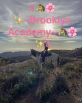 .+*~Brooklyn Academy~*+.