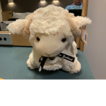 My stuff toy