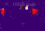 Ollies buds