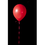 The balloon