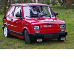 POTETO_team