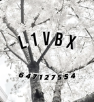 l1vbx