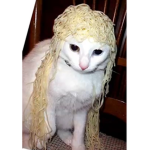 Kingdom of MEOW!