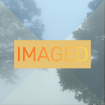IMAGED community