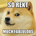 Doge Fan Community