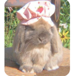 .BUNNIE$$