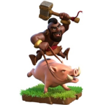 Hog ridaaaaaaa group