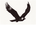TheGoldenEagles