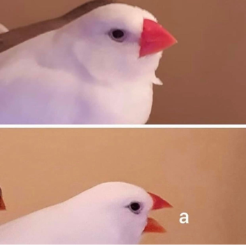 Tower of Generation Failure