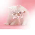 The Kittens World