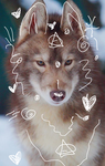 Dog luvs