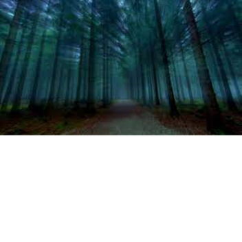 bosque de los monstruos (chat de voz)