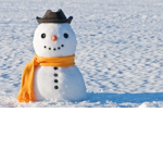 Diego snowman