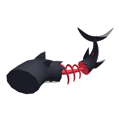 Shark Skeleton Tail