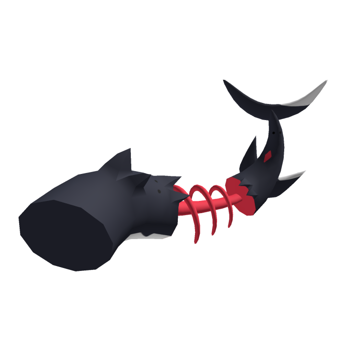 Shark Skeleton Tail