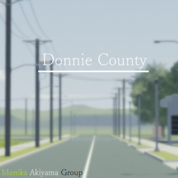 Donnie County