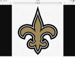The saints football team fans