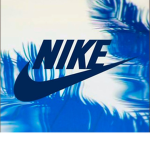 THE NIKE FANS