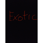 Team Exotic Kidds