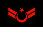 -Combative Defence Force-