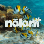 District of Nālani