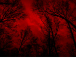 BleedingWitch