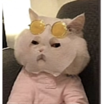 ZoeyGoodGroop