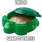 Sand Pit Turtle Fan Group