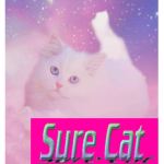 Sure Cat Insurance