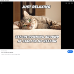 If u like cats join I know that u like cats