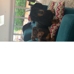 Amelie and Farrah