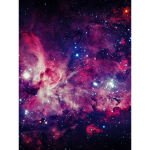 The_galaxy_group14