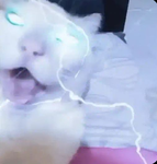sturn0xy