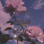Rose Petals Attire