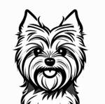 Yorkie Studio