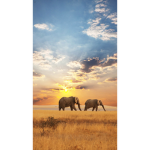 AestheticElephant