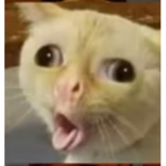 Yomama like ayo mom