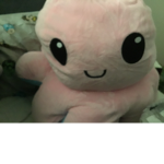 Bloop Groop